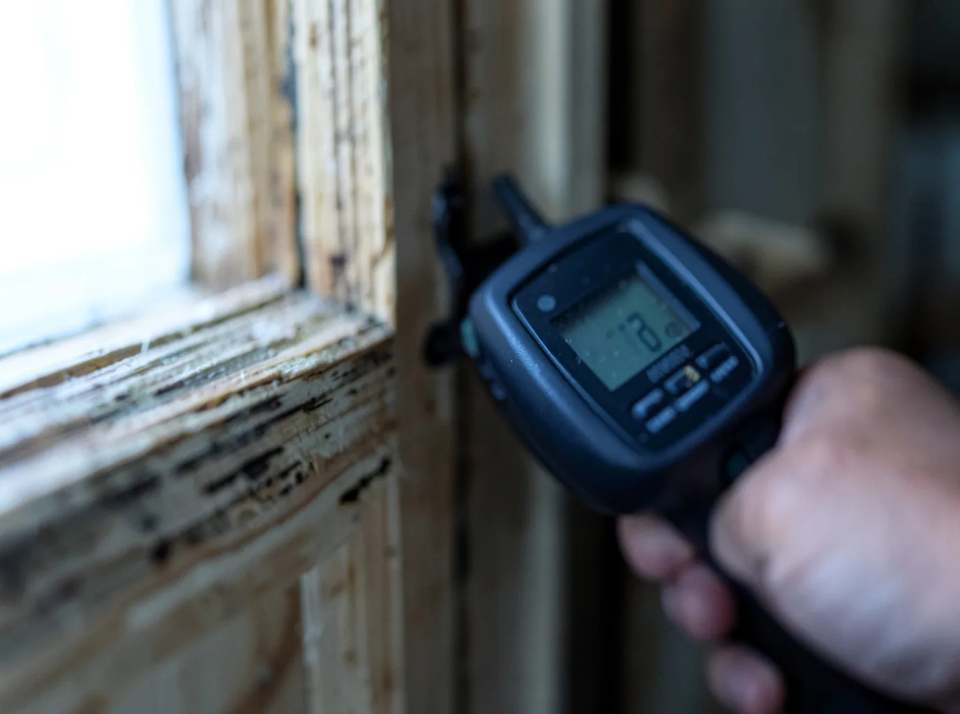 Moisture Inspection And Documentation in Oakfield, NY